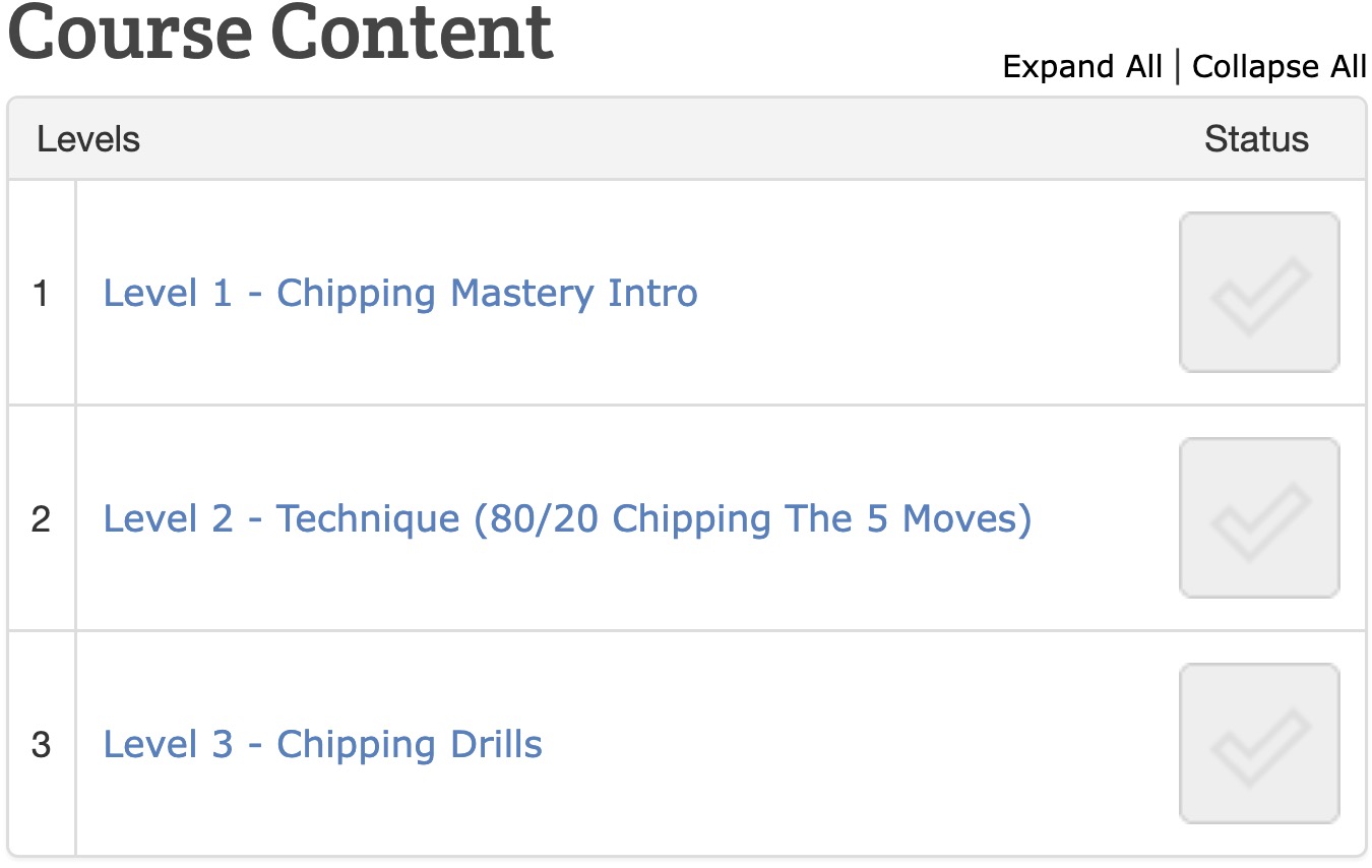 Chipping Mastery course